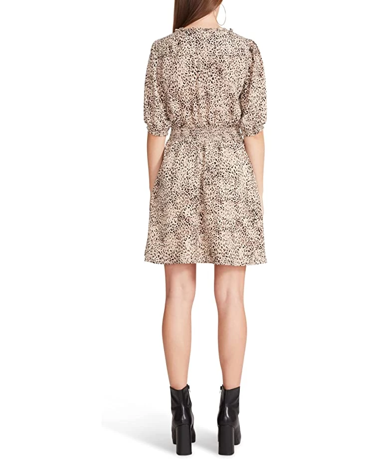 Steve Madden Dresses Meow Or Later Dress 2 Steve Madden Dresses Meow Or Later Dress - Image 2